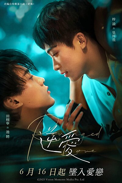 Revenged Love (2025)